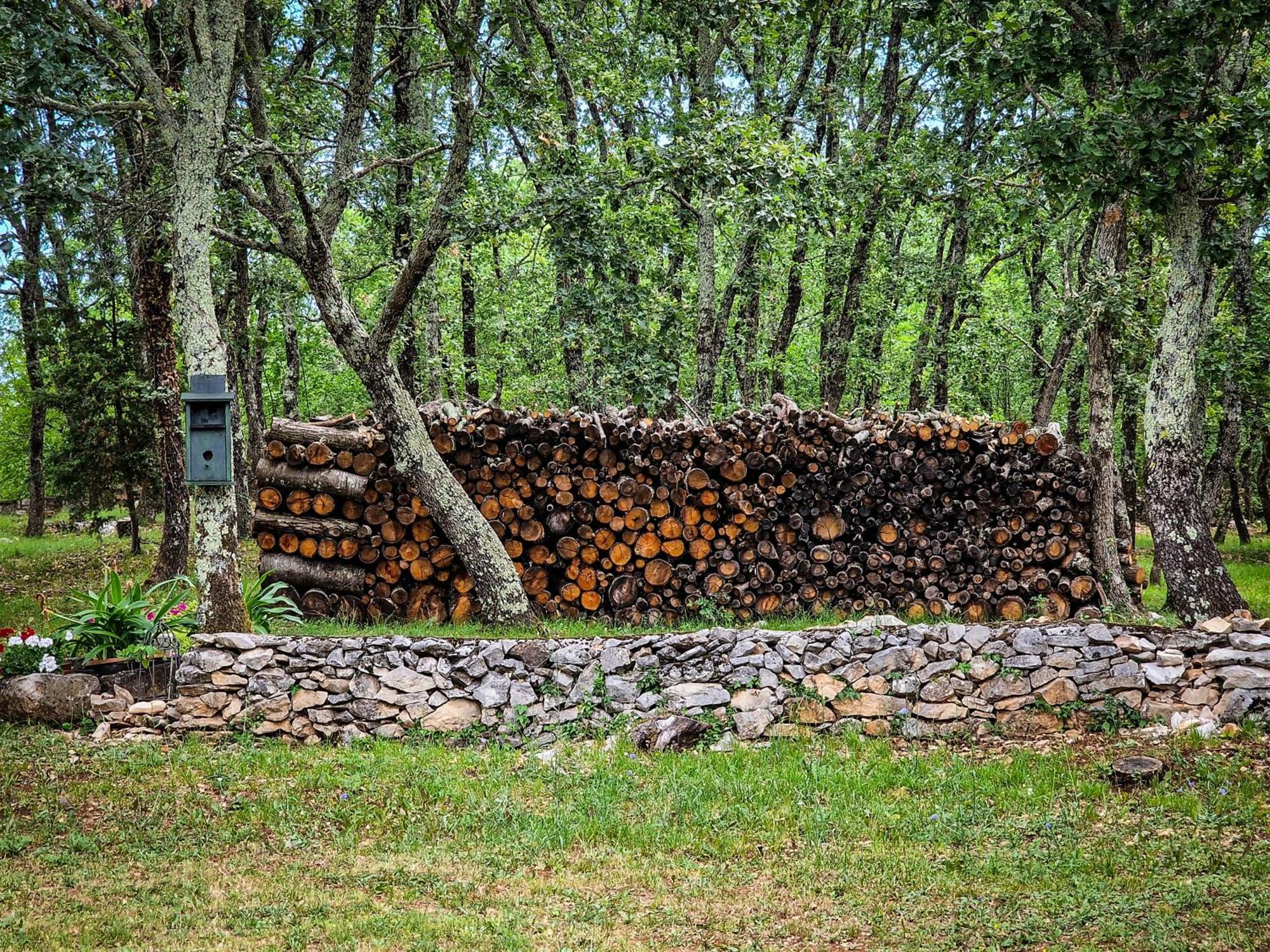 Stancija Ruseti Oprtalj Exterior foto